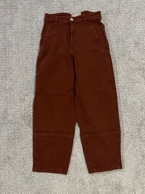 Everlane Size 2 Barrel Brown Pants